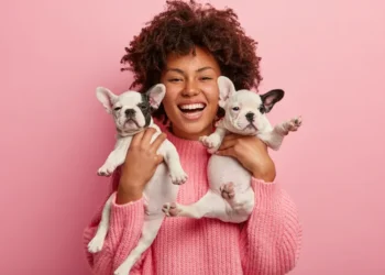 Como cuidar melhor do seu PET sem gastar uma fortuna?